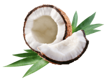 Coconut oil