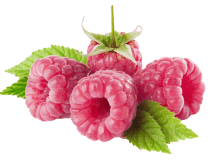 Raspberry